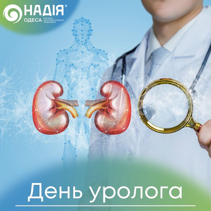 день уролога